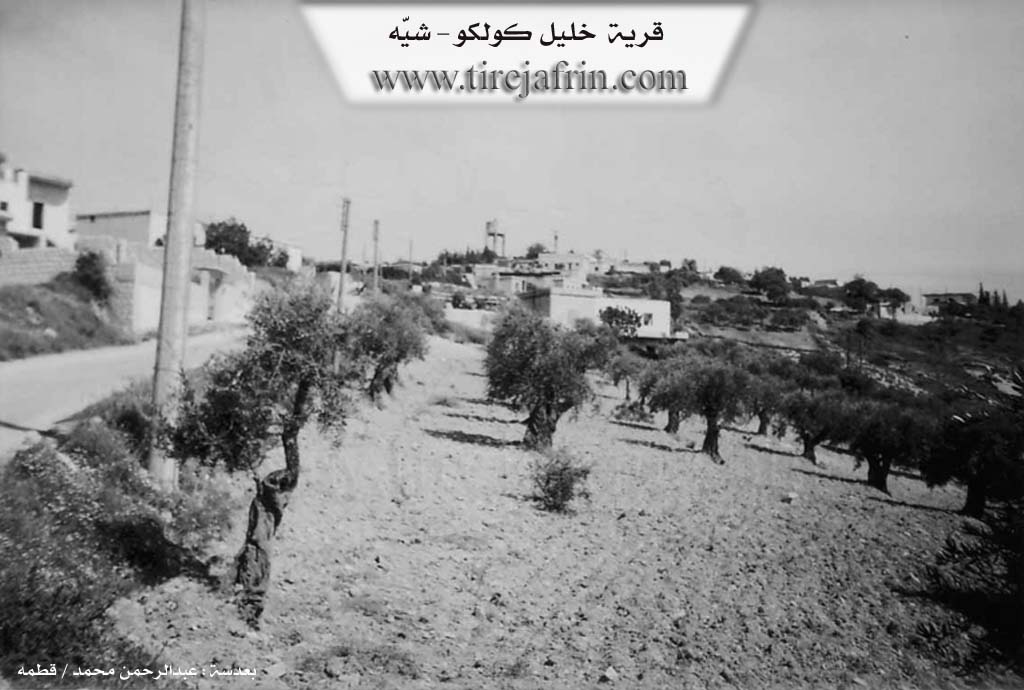 Photo of Xelîl